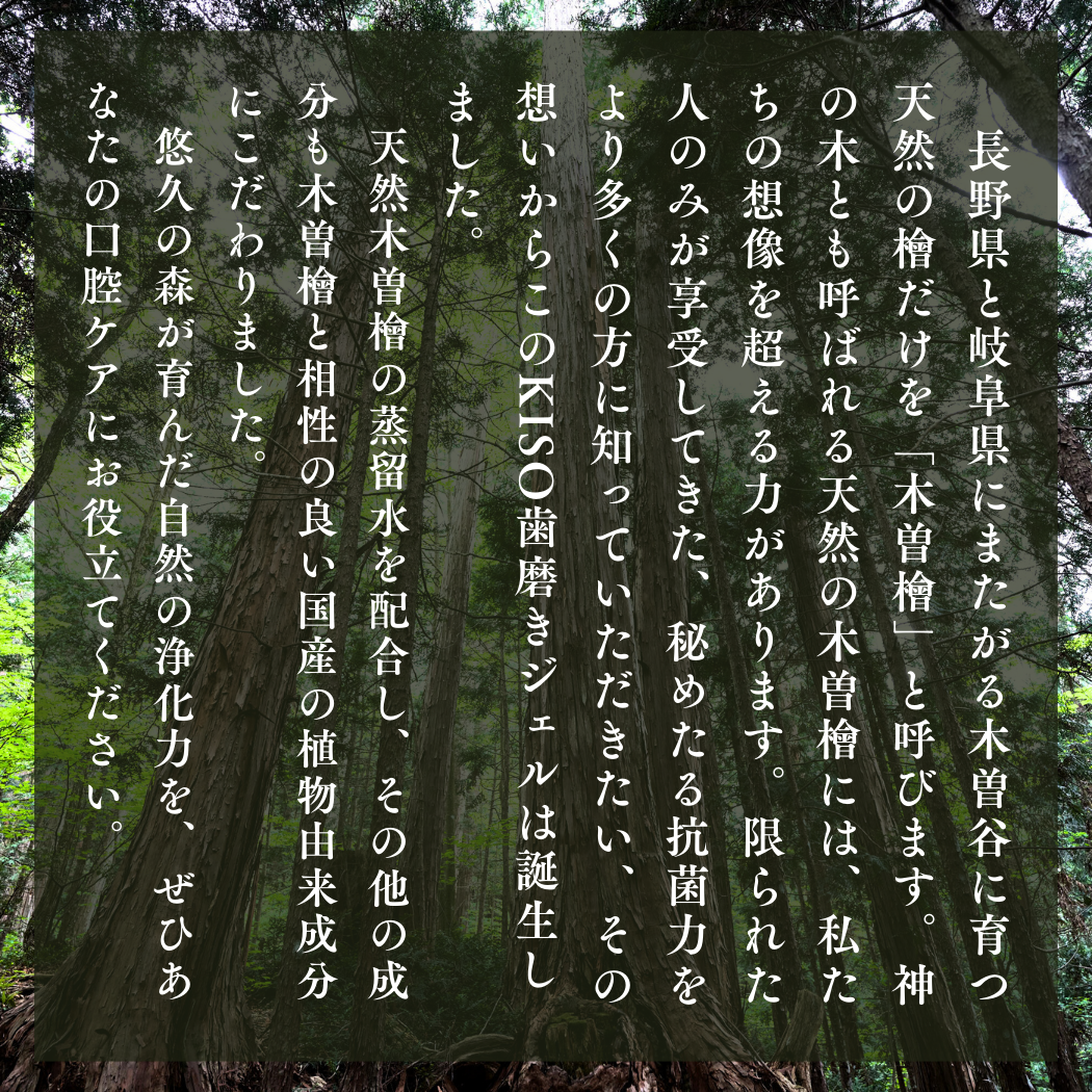 KISO歯磨きジェル80gS