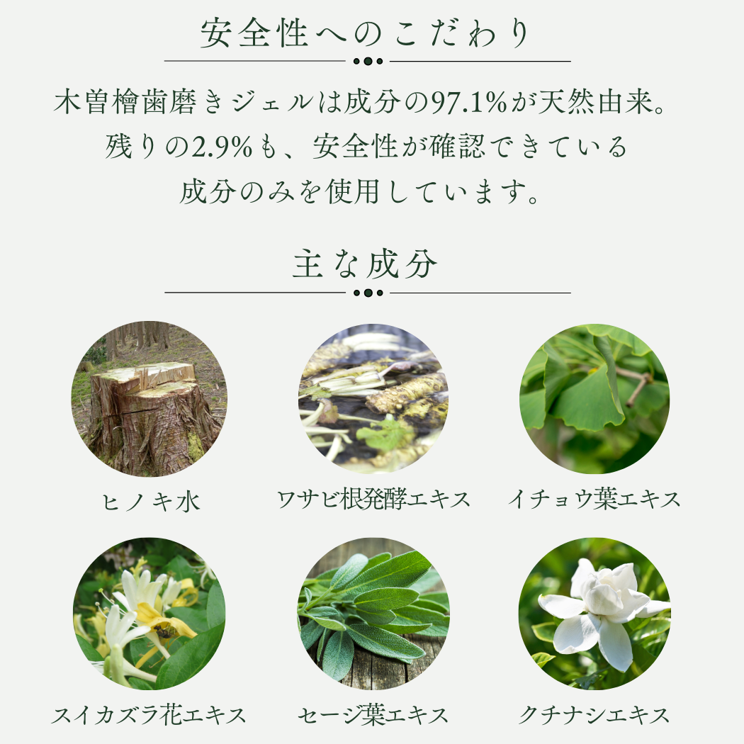 KISO歯磨きジェル80gS