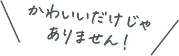 かわいいだけじゃありません！