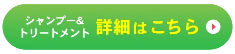 回遊ボタン RB-STへ