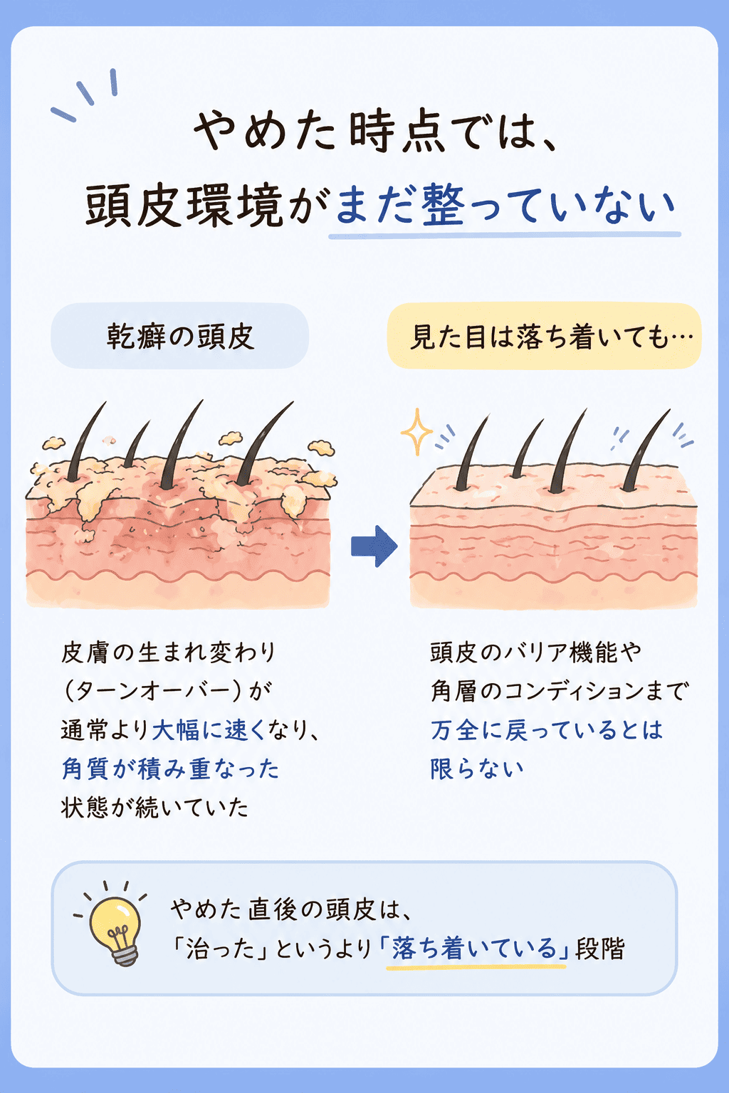頭皮環境のイメージ