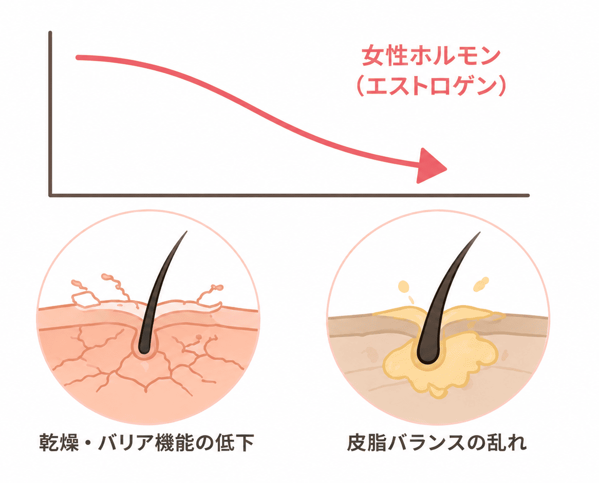 更年期に頭皮がかゆくなる原因