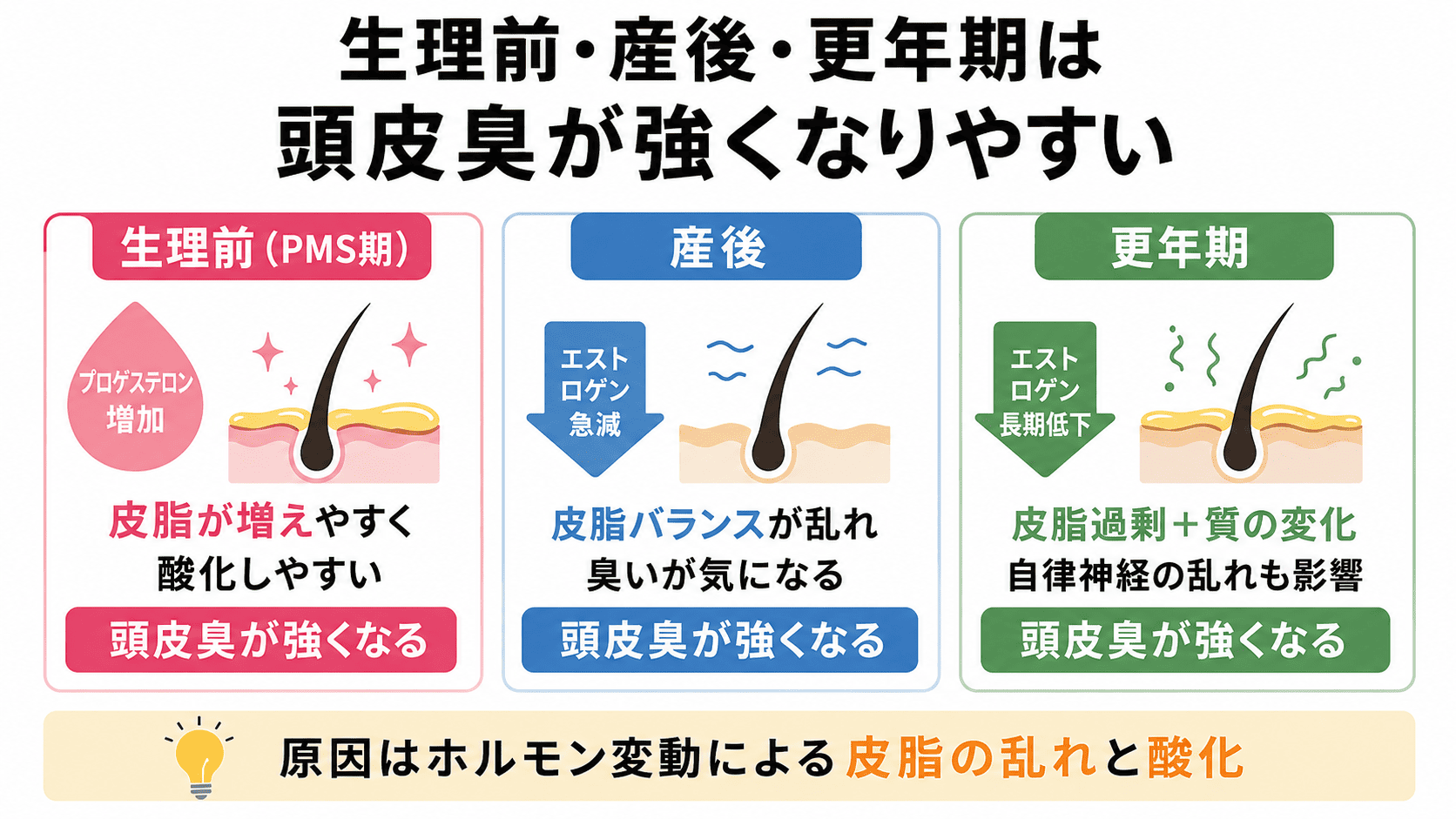 ホルモンバランスと頭皮臭のメカニズム