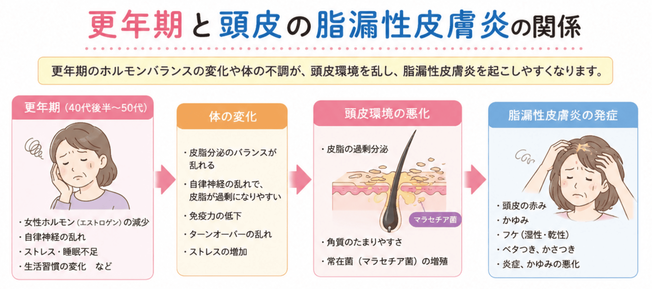 更年期と脂漏性皮膚炎の図解画像