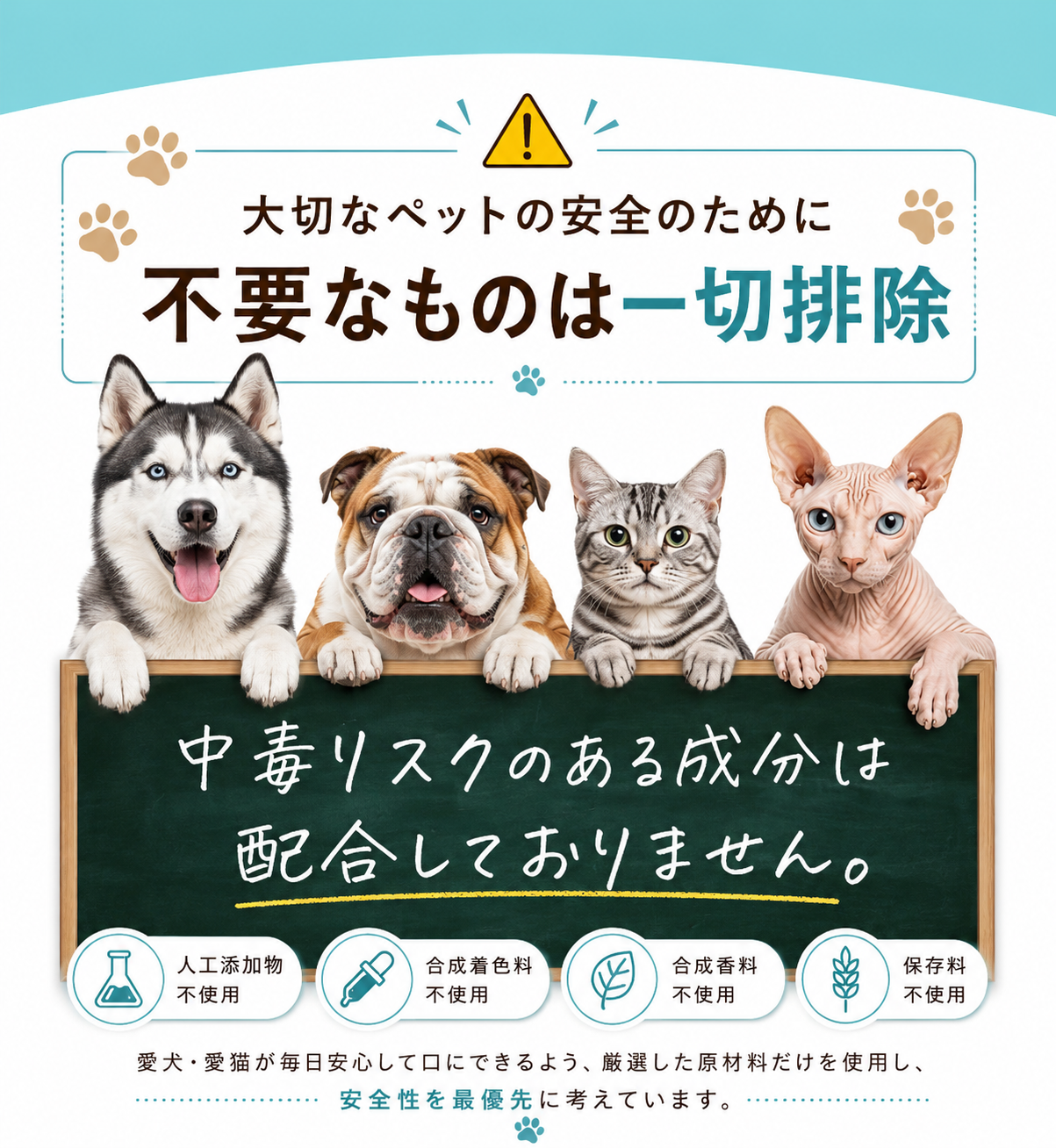不要なものは一切排除
