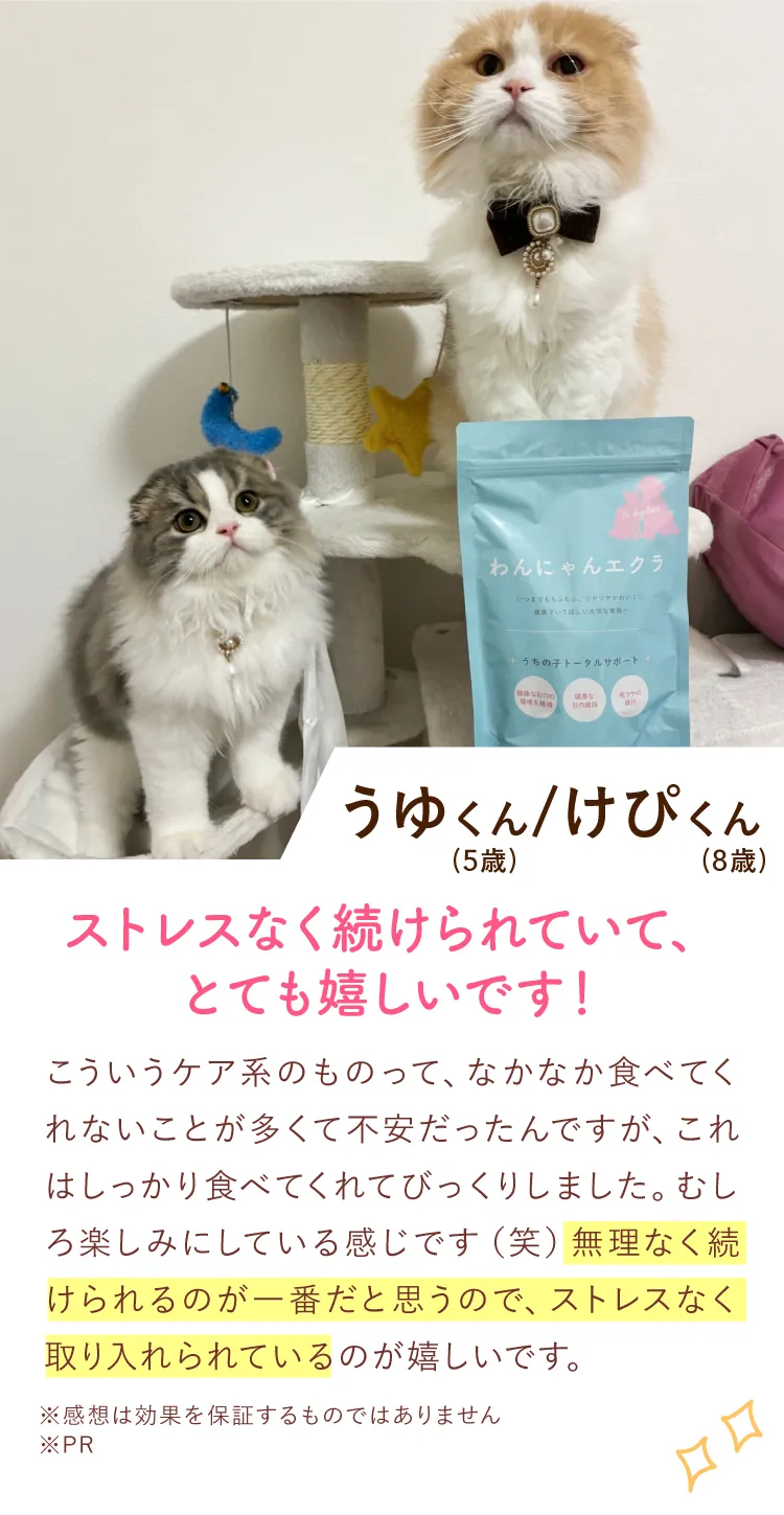 利用者の声2