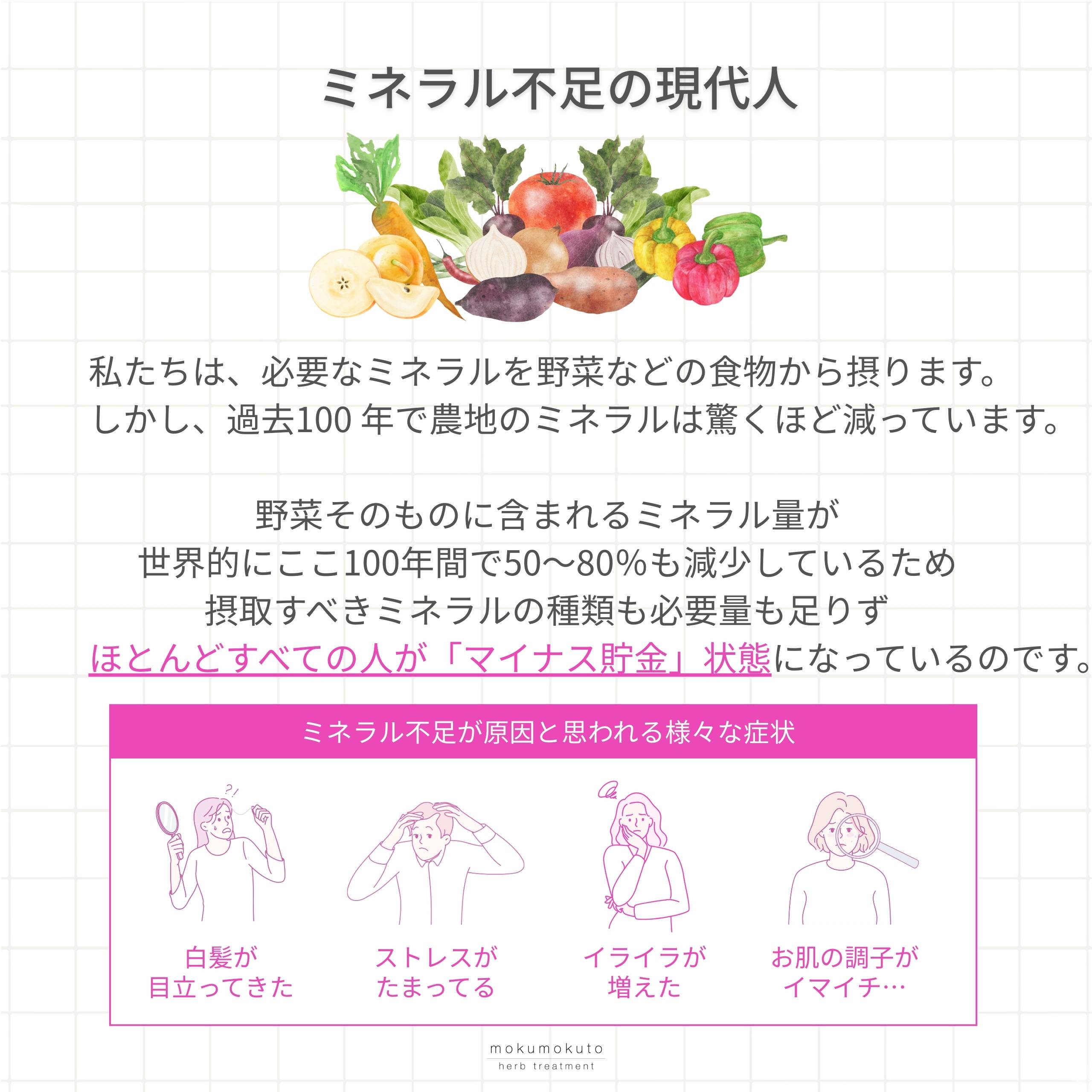 木木と ミネラル