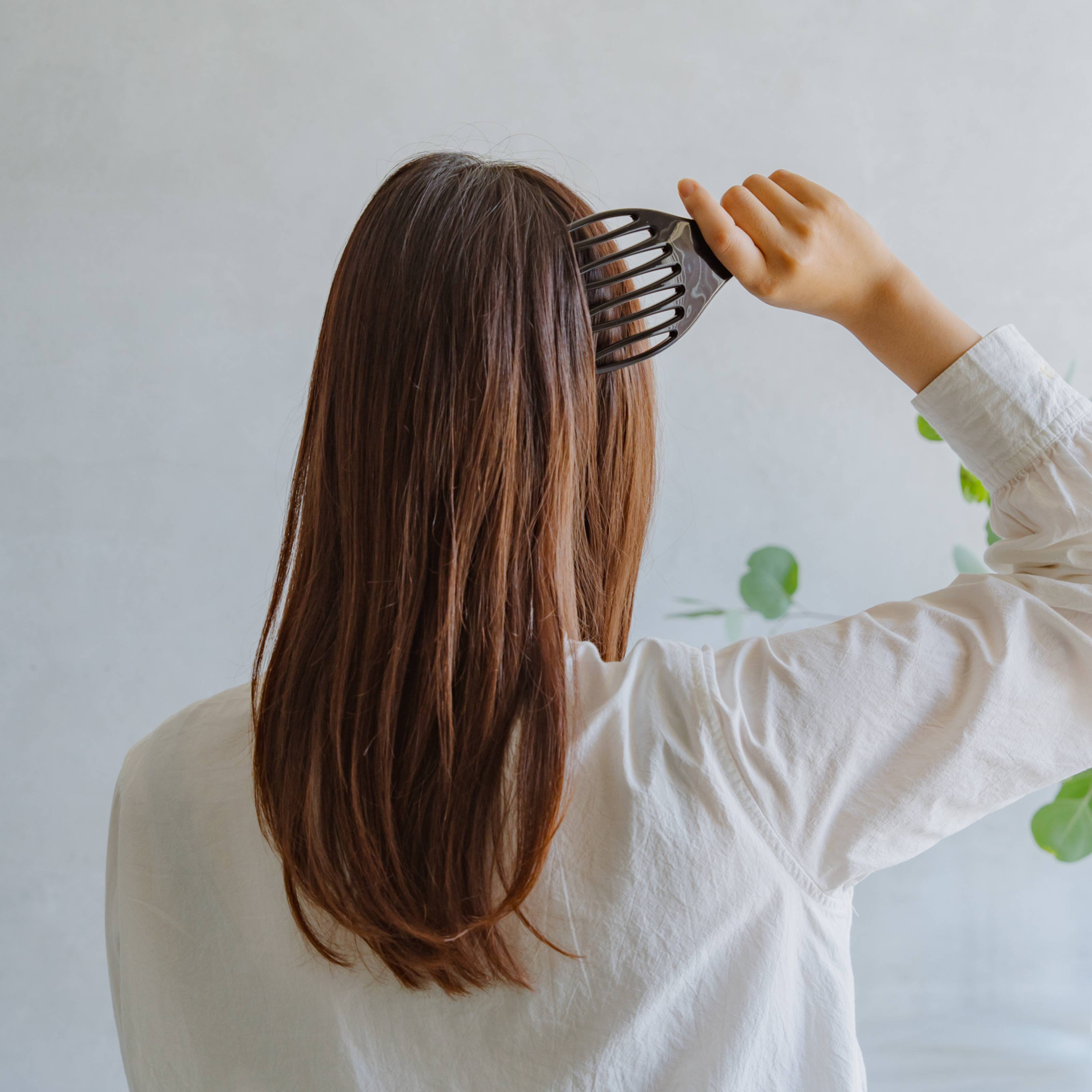 木木と 熊手カッサ