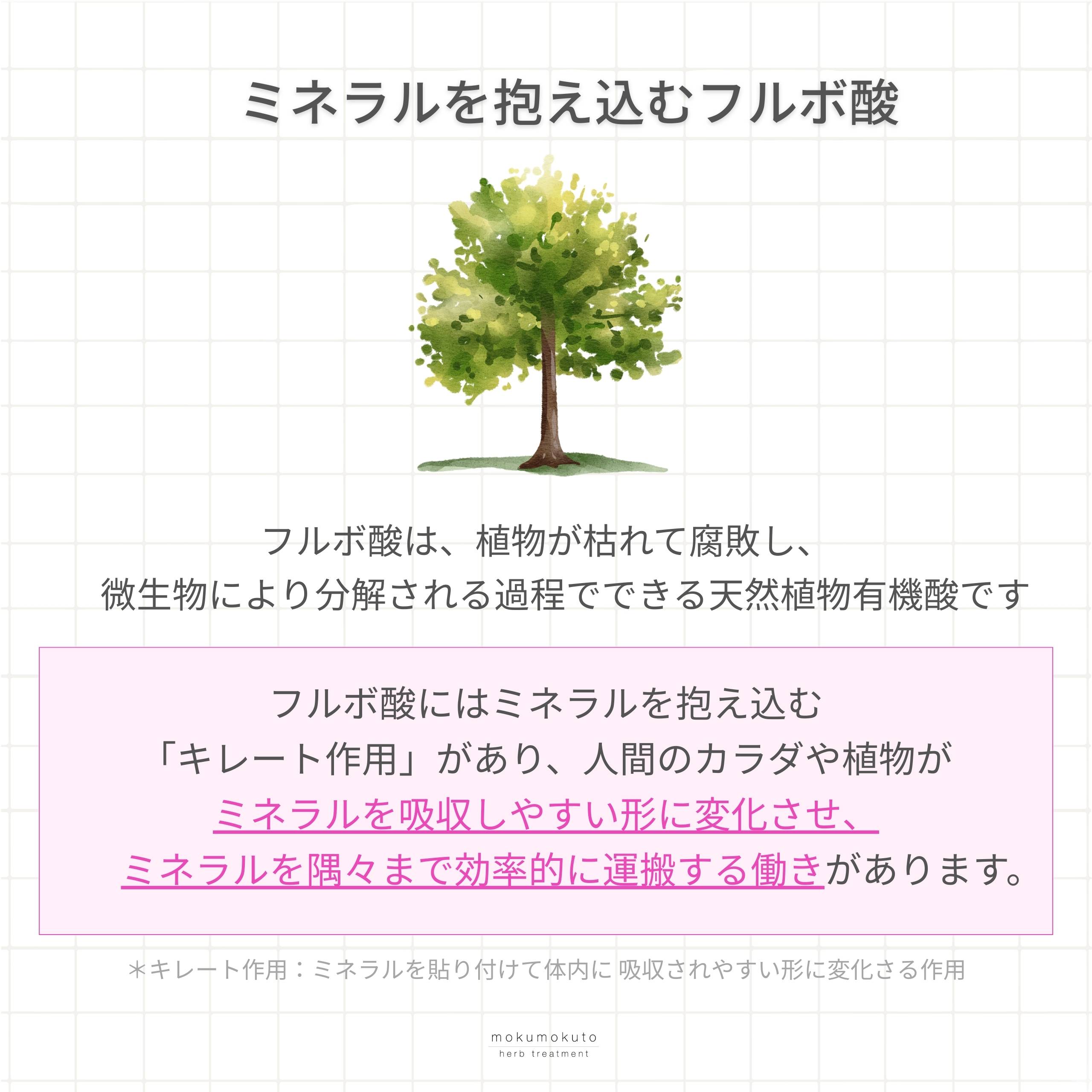 木木と ミネラル