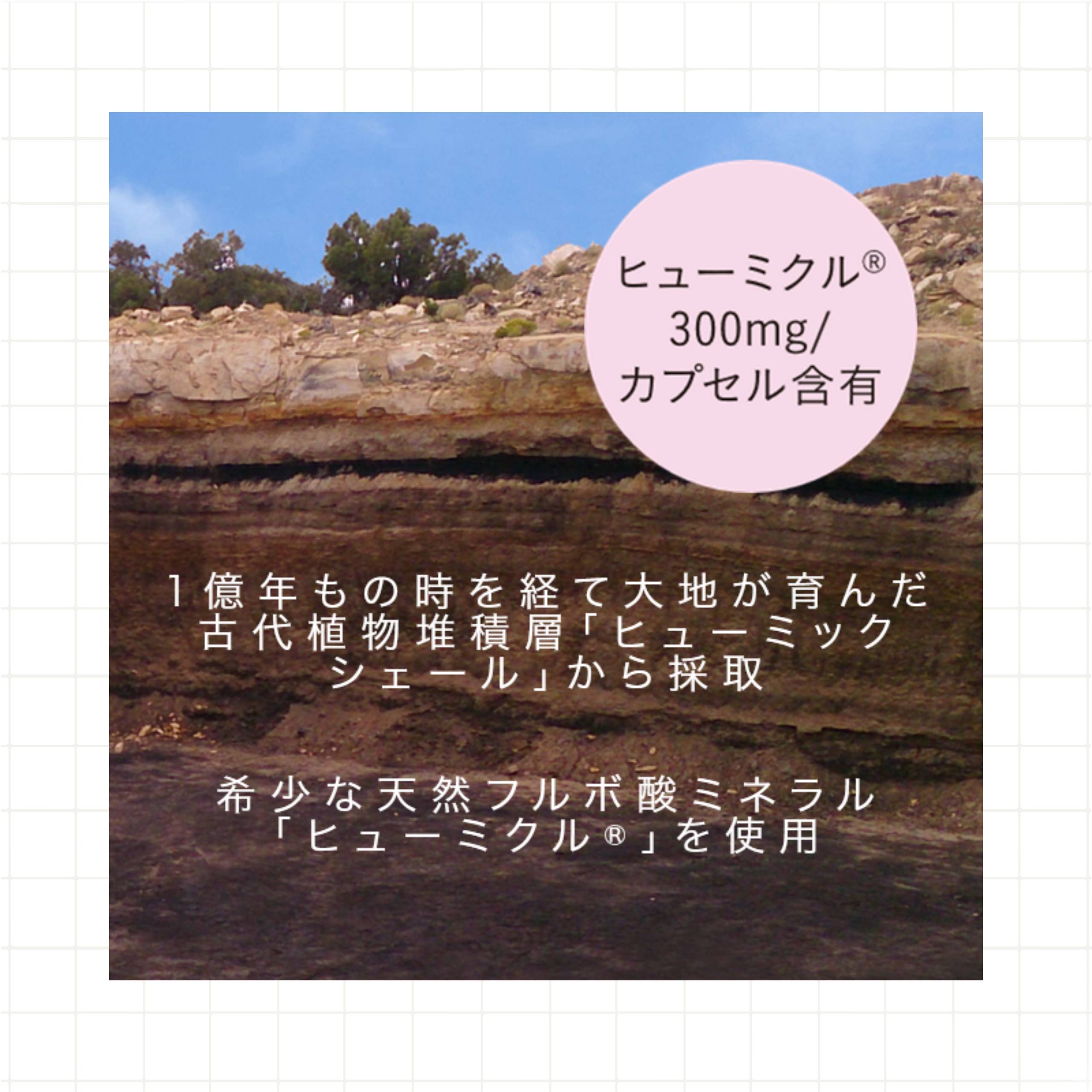 木木と ミネラル