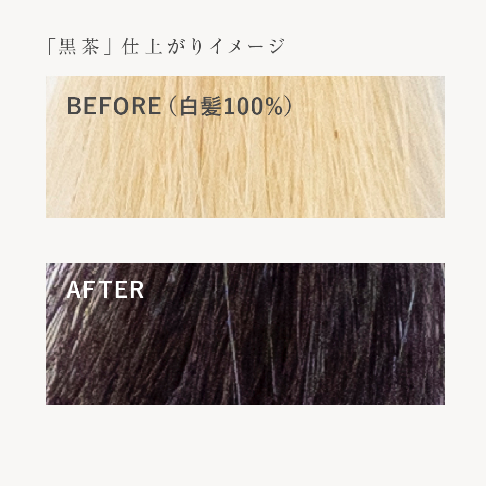 はじめての「木木と」セット カラー: 黒茶