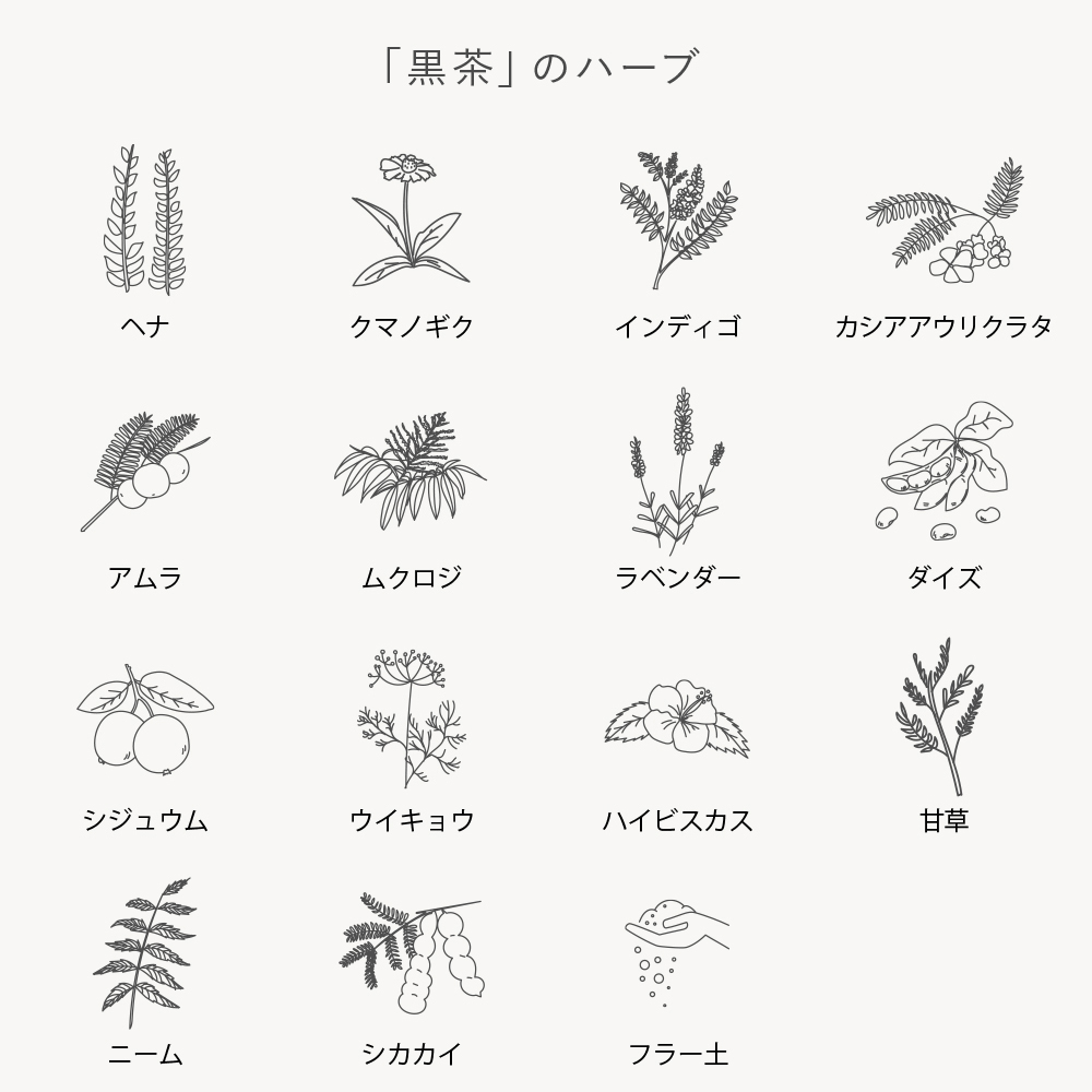 はじめての「木木と」セット カラー: 黒茶