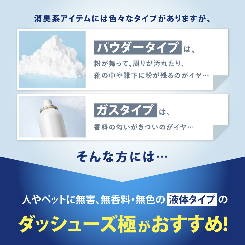 ダッシューズ極