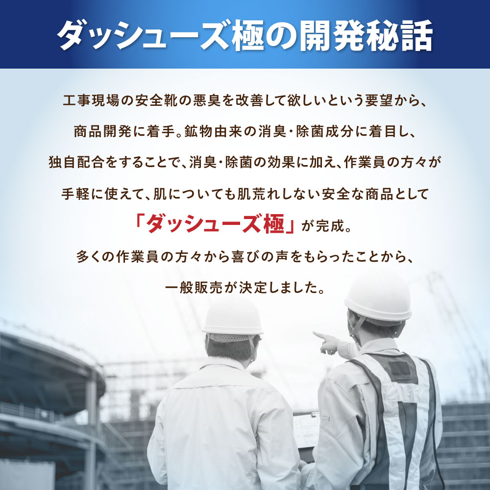 ダッシューズ極