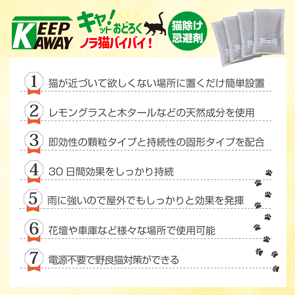 キャットおどろく　ノラ猫バイバイ！