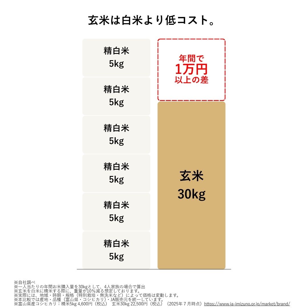 YAMAMOTO ライスクリーナー i-rice