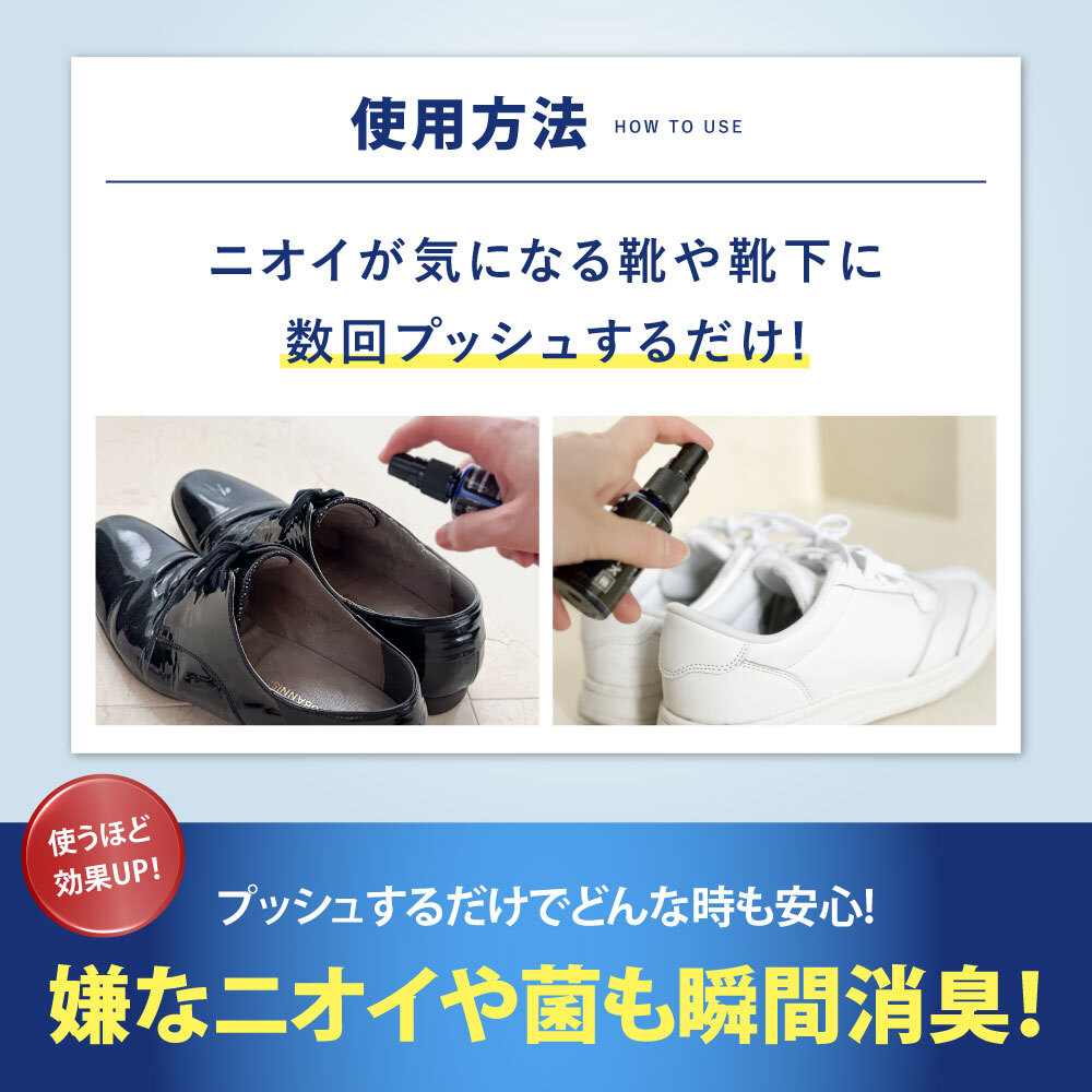 ダッシューズ極