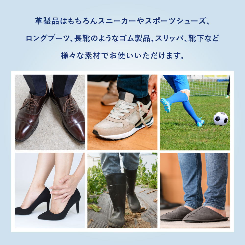 ダッシューズ極