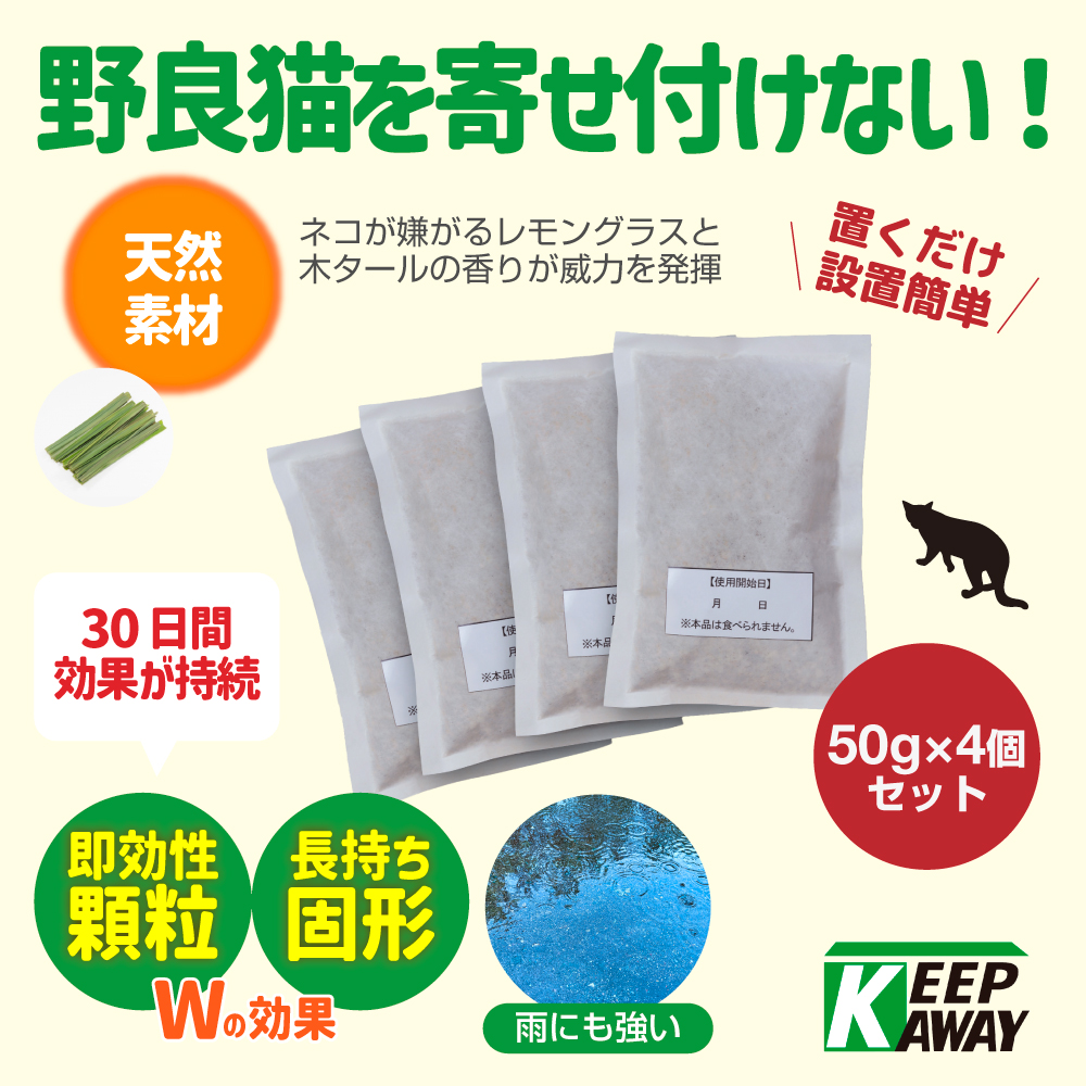 キャットおどろく　ノラ猫バイバイ！