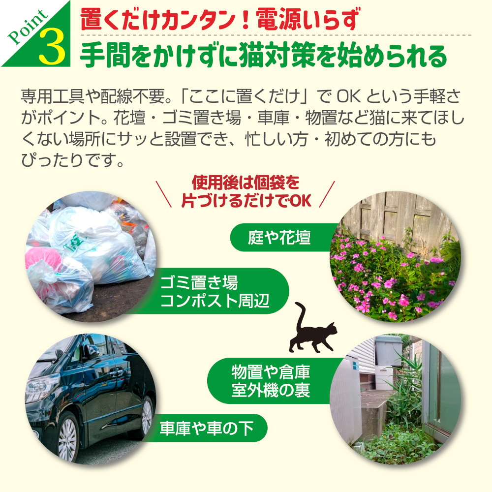 キャットおどろく　ノラ猫バイバイ！