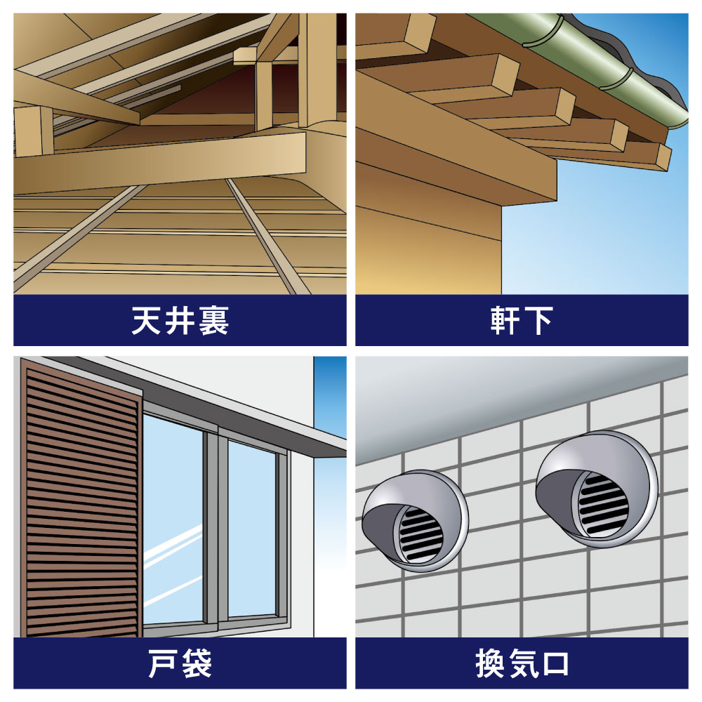 コウモリ、バイバイ！