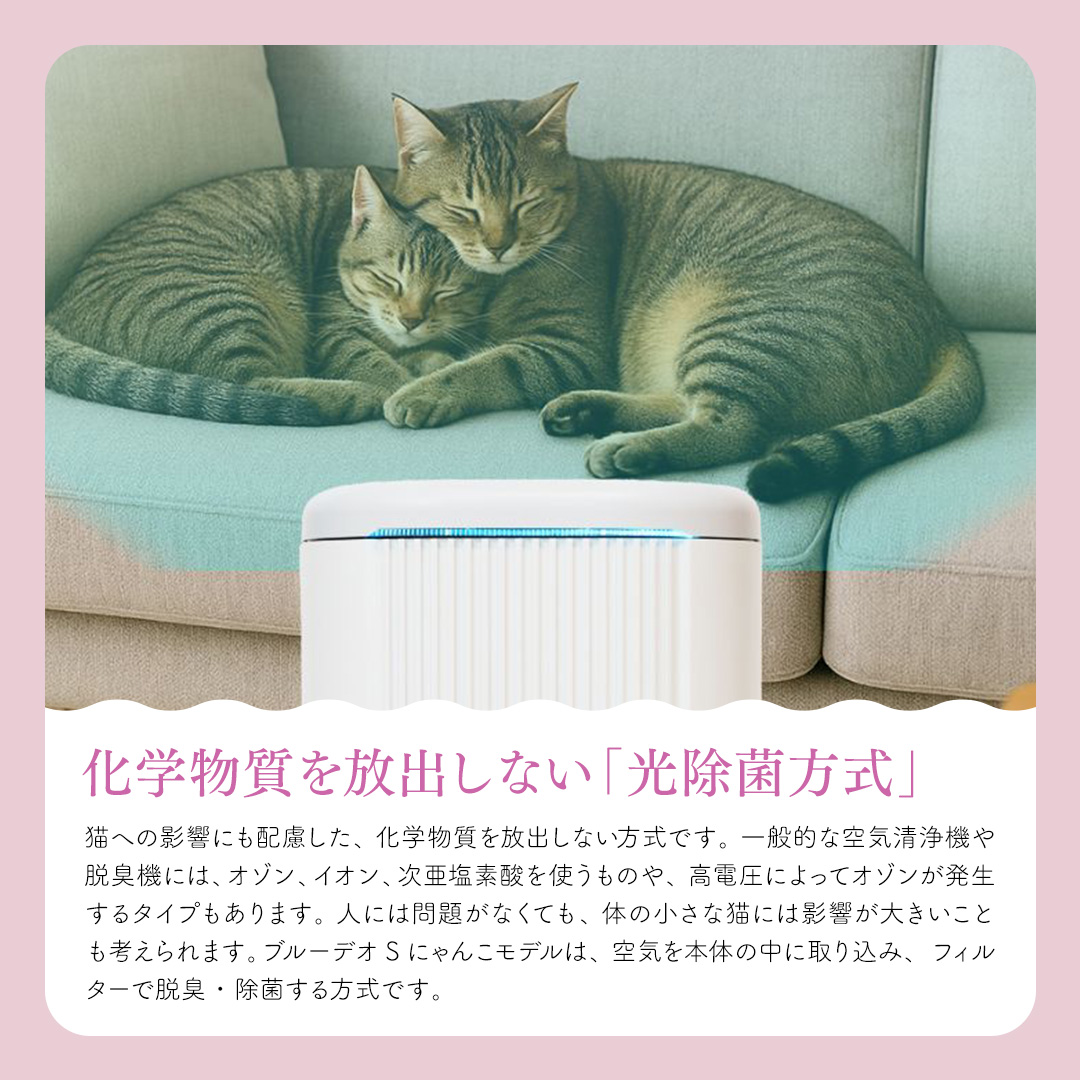 ブルーデオにゃんこモデル