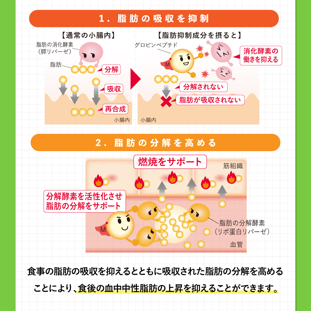  [機能性表示食品]脂肪注意報