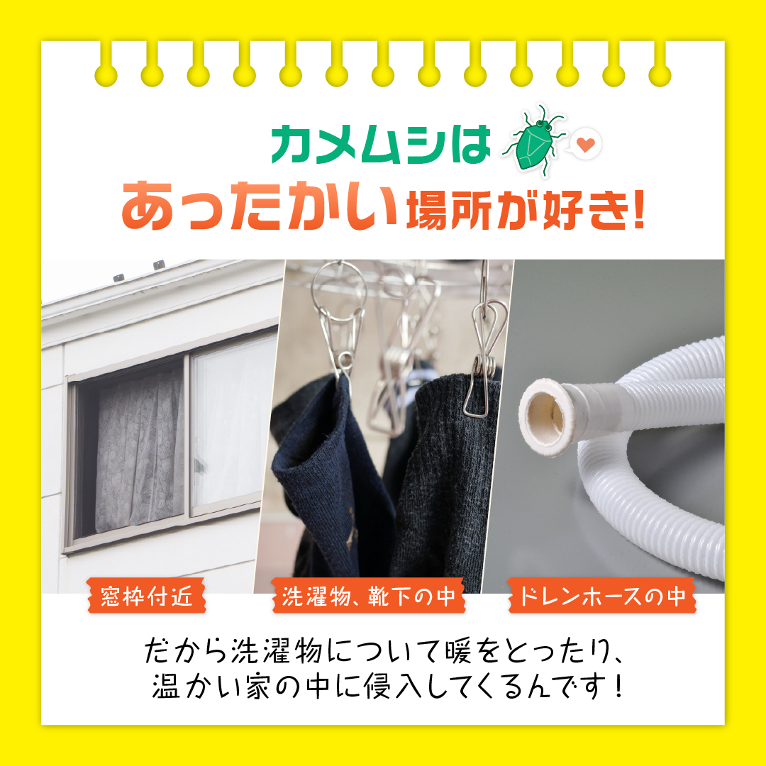 さらば！カメムシッ 【忌避剤】
