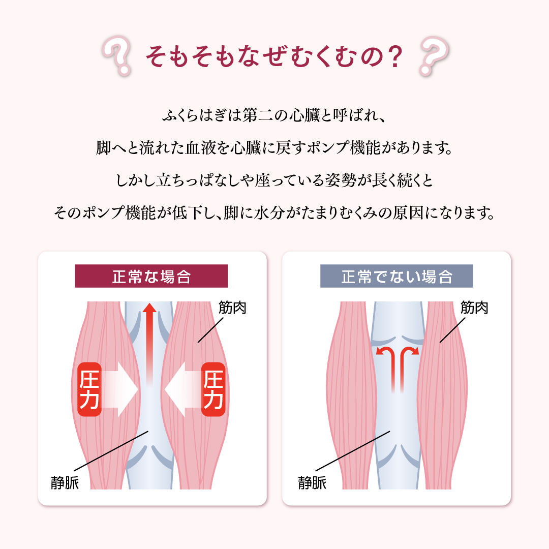 アシカルバンド カラー: ローズピンク