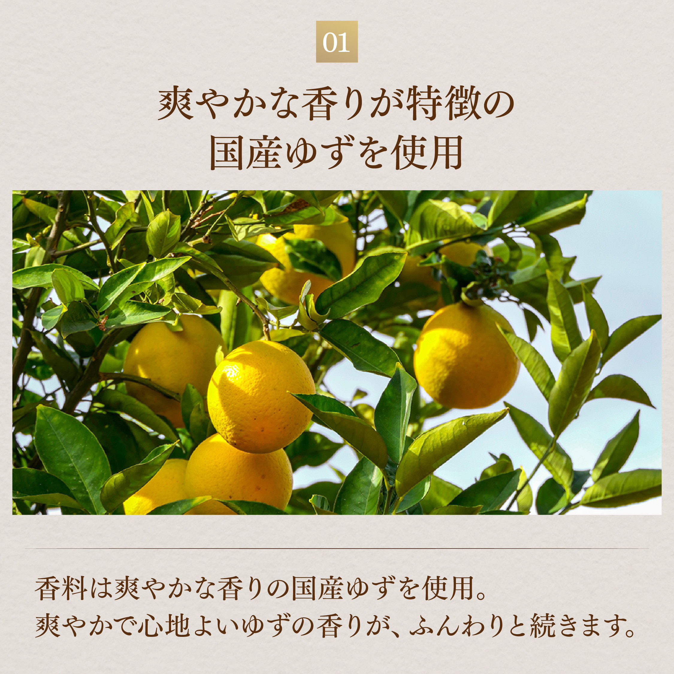 無添加酒粕のクリーム sakekasu+ 【25g】