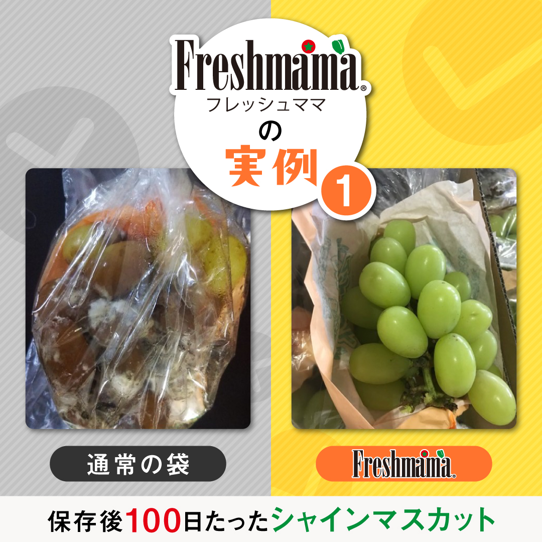 【農学博士と共同開発】フレッシュママ　10枚入り×3セット