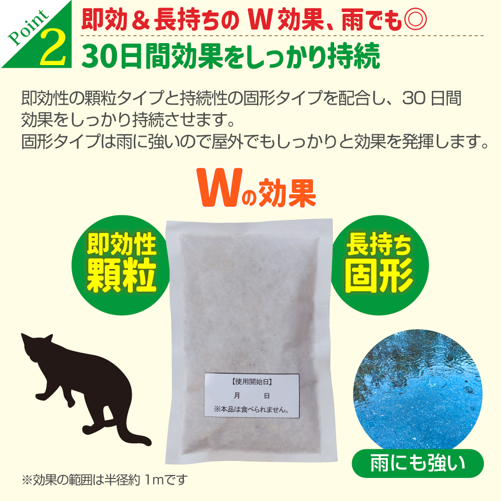 キャットおどろく　ノラ猫バイバイ！