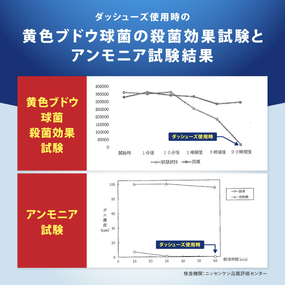 ダッシューズ極