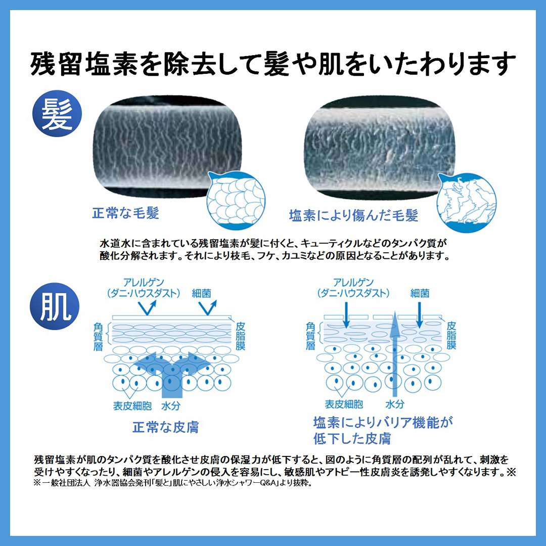 トレシャワー RS54