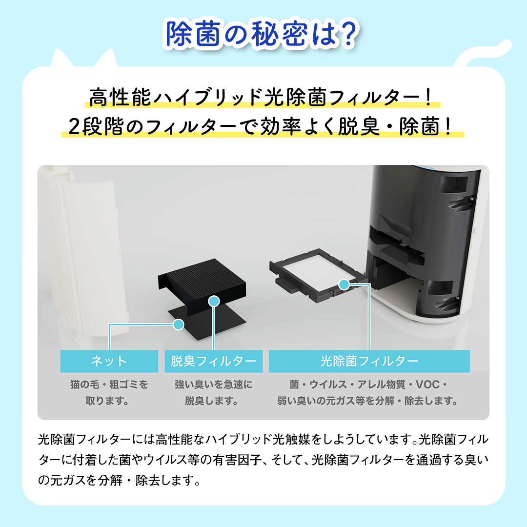 ブルーデオにゃんこモデル