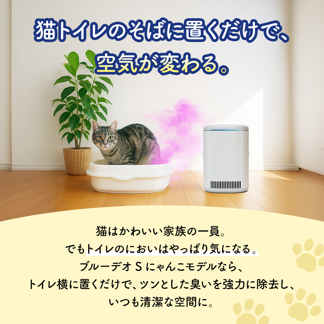 ブルーデオにゃんこモデル