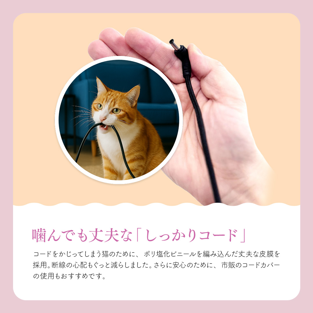 ブルーデオにゃんこモデル