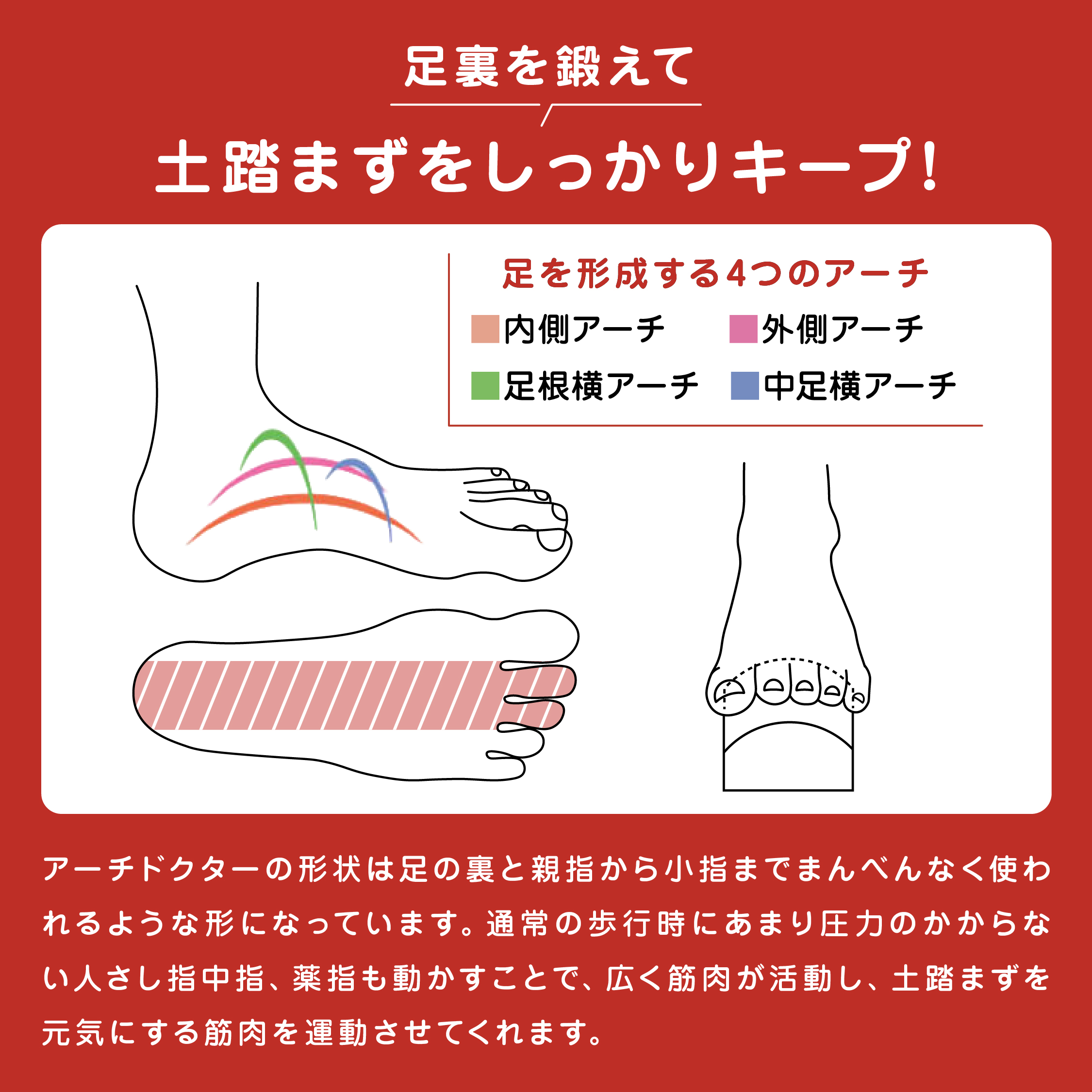 アーチドクター AQ ミニ