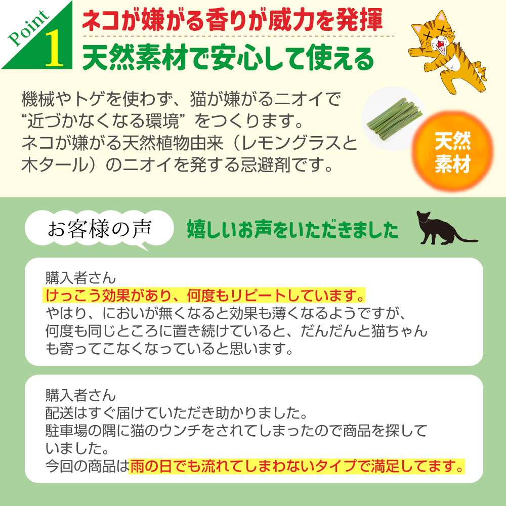 キャットおどろく　ノラ猫バイバイ！