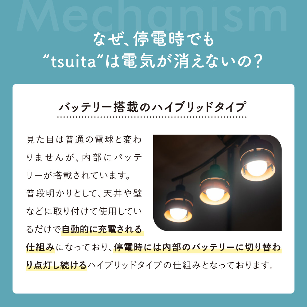 tsuita ツイタ【停電しても消えない電球】 種類: 昼白色