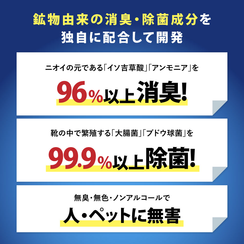 ダッシューズ極
