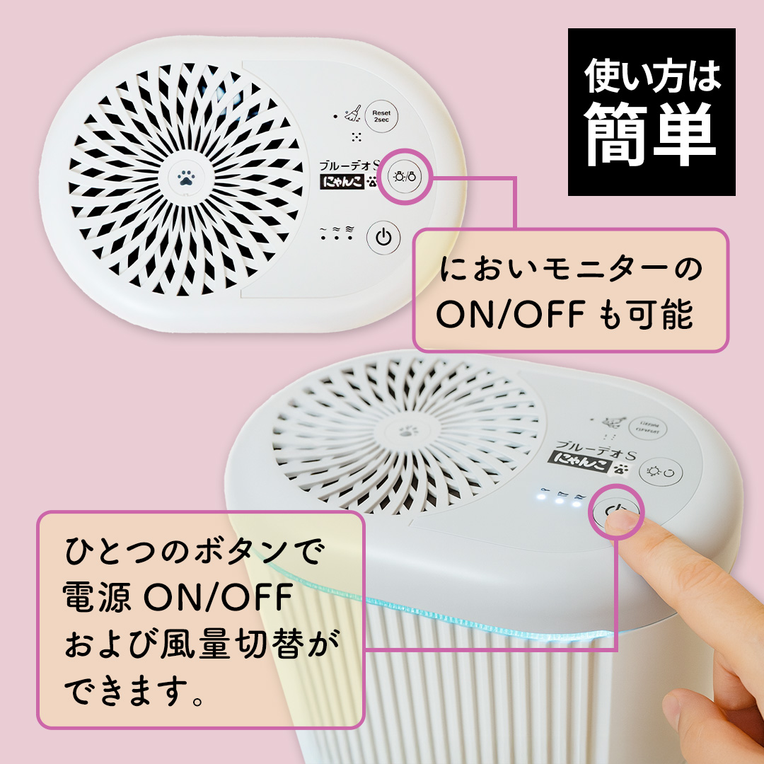 ブルーデオにゃんこモデル