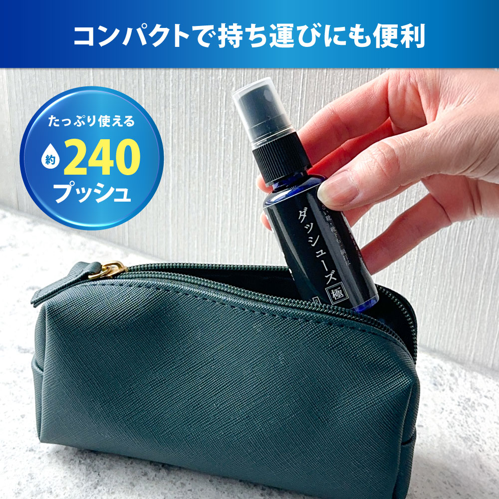 ダッシューズ極
