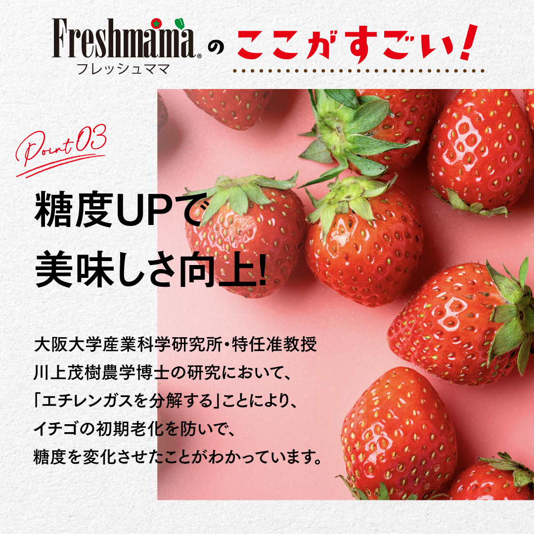 【農学博士と共同開発】フレッシュママ　10枚入り