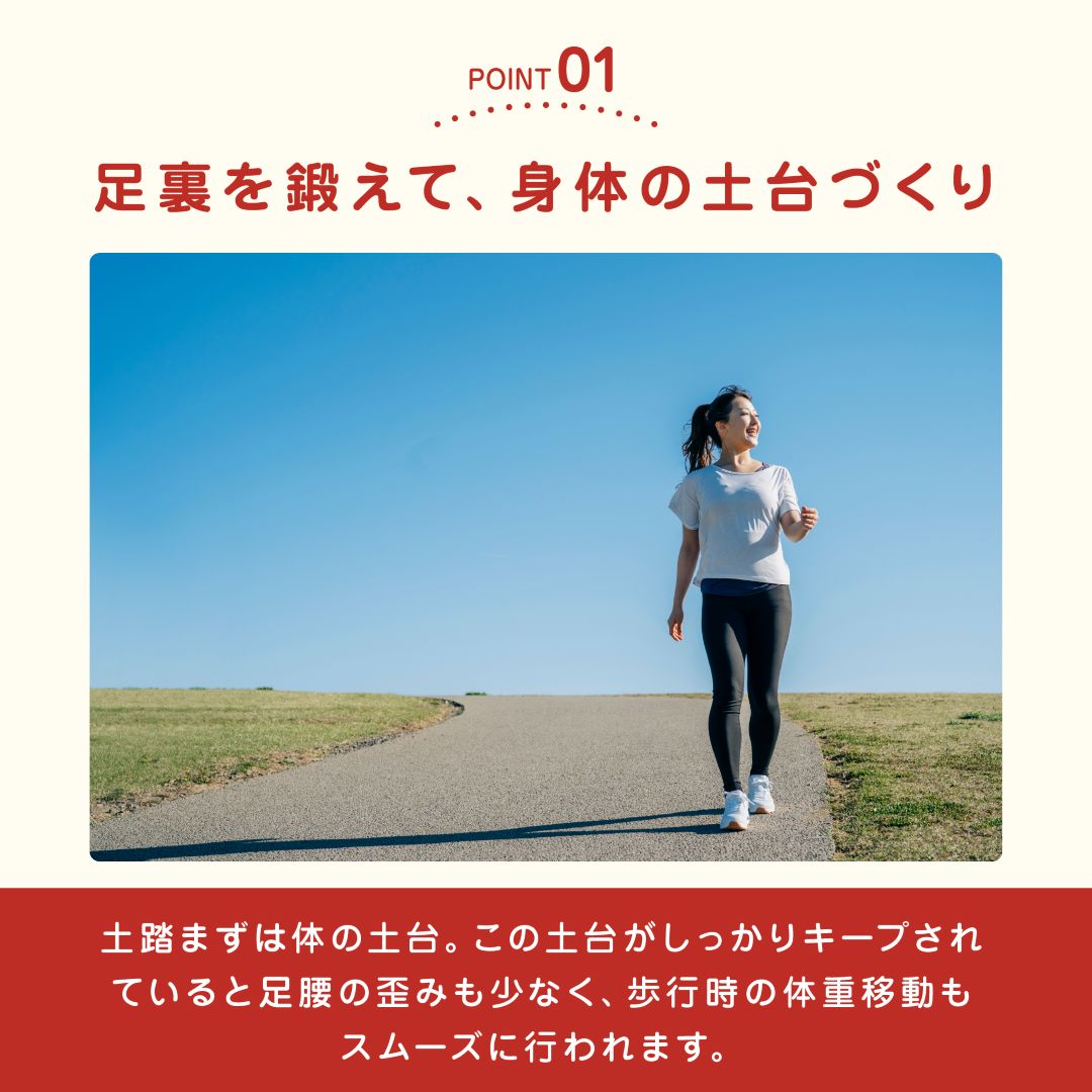 アーチドクター AQ ミニ