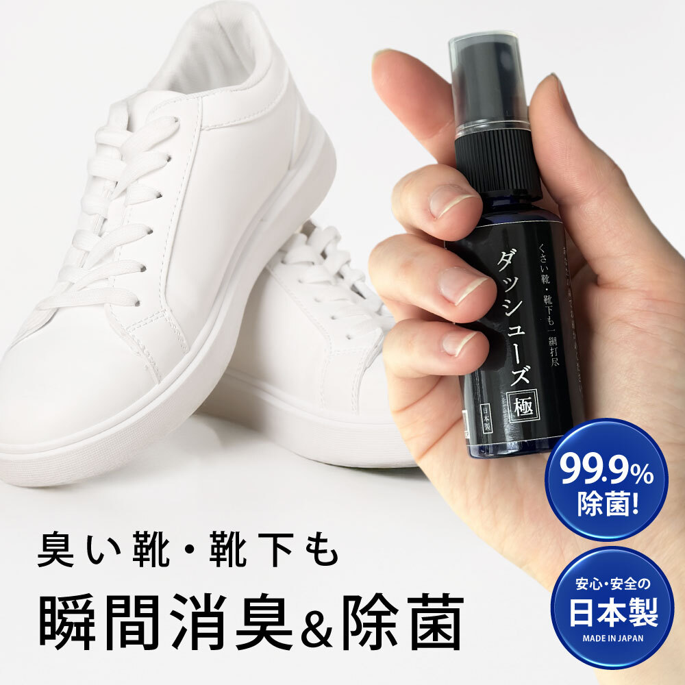 ダッシューズ極
