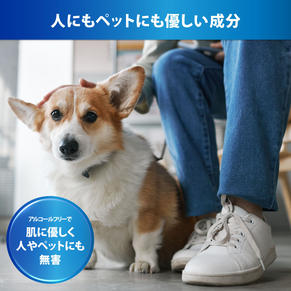 ダッシューズ極