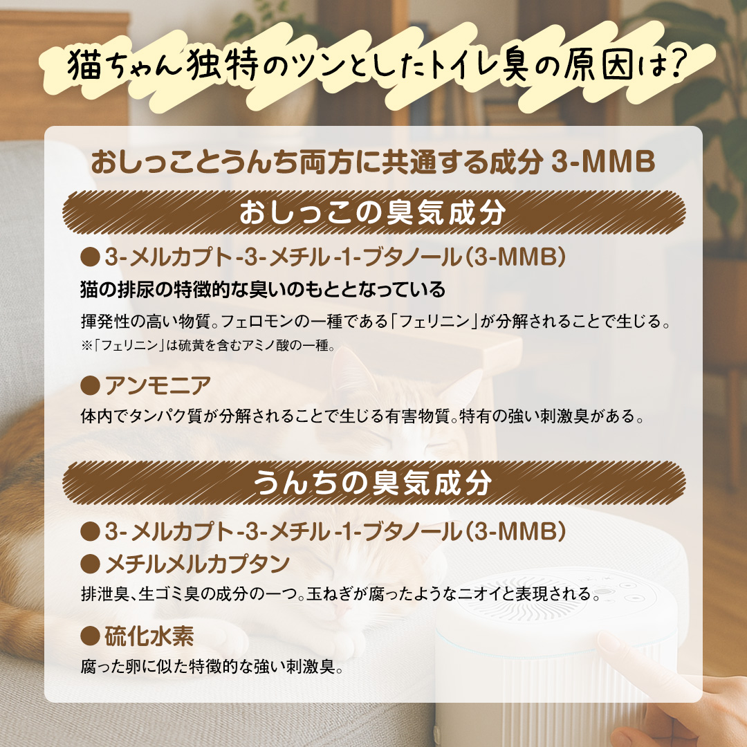 ブルーデオにゃんこモデル