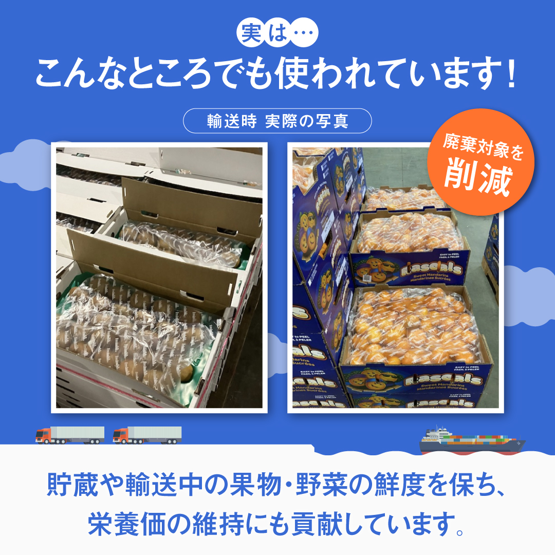 【農学博士と共同開発】フレッシュママ　10枚入り×3セット