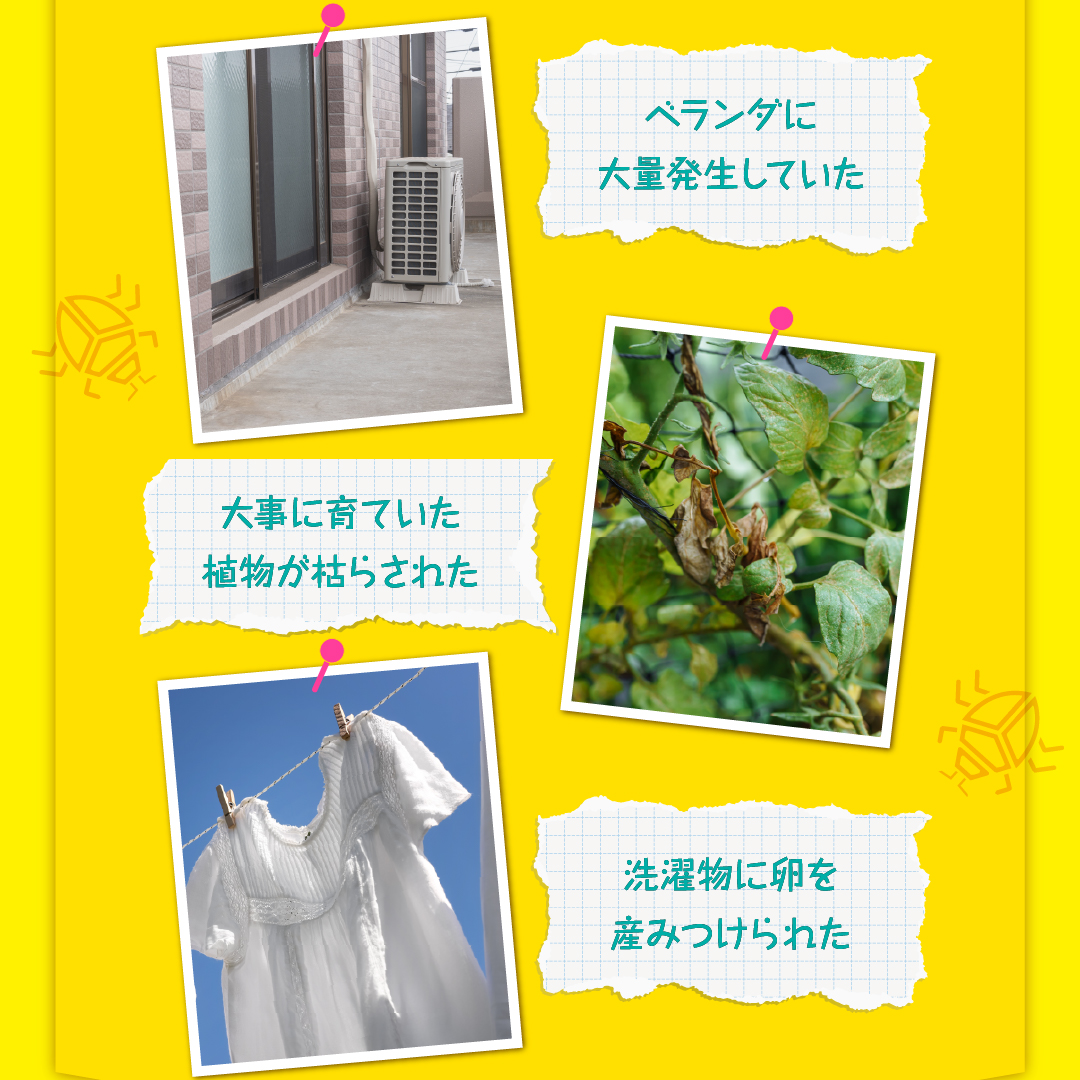 さらば！カメムシッ 【忌避剤】